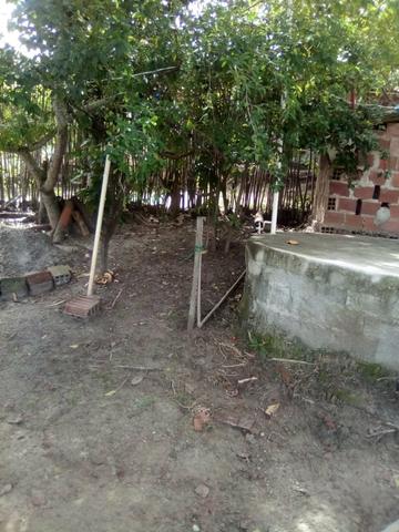 Vendo casa com sítio - Foto 3