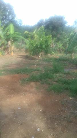 Ceilândia no P Sul - Foto 5