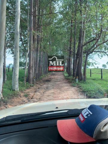 Vende ou troca por terra maior Chácara 5 Alqueires São Miguel do Passa Quatro-GO - Foto 7