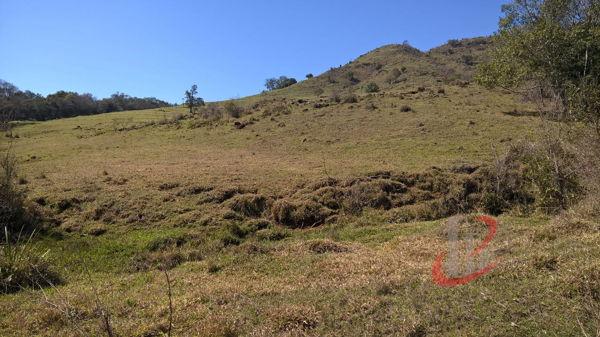 Rural fazenda com 4 quartos - Bairro Centro em Nova Tebas - Foto 16