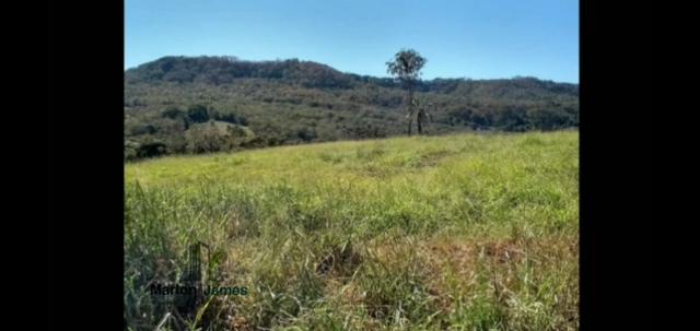 Fazenda em Morrinhos-Go - Foto 10