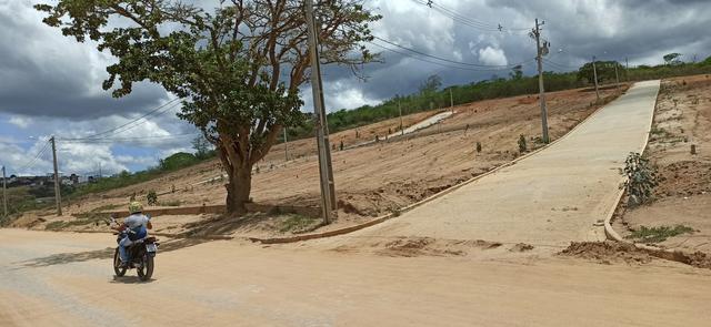 Terrenos lotes - Foto 2