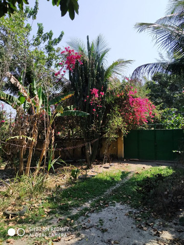 VENDE-SE EXCELENTE LOTE PRÓXIMO A DUTRA. - Foto 2