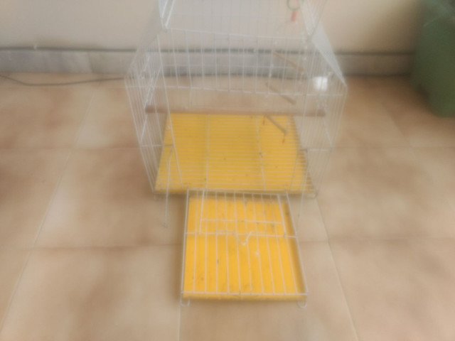 Gaiola de calopsita - Foto 2