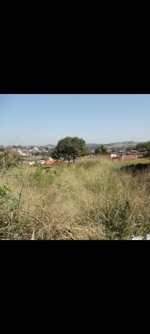 Terreno Jataizinho norte do PR  - Foto 4