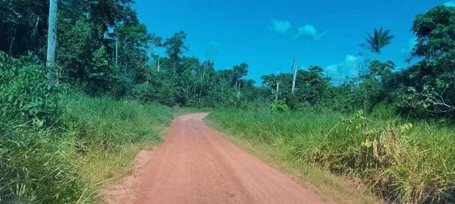 Fazenda em Rorainopolís RR 2900 hectares - Foto 2