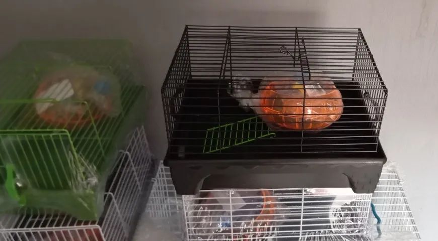 Gaiola para hamster - fazemos entrega 