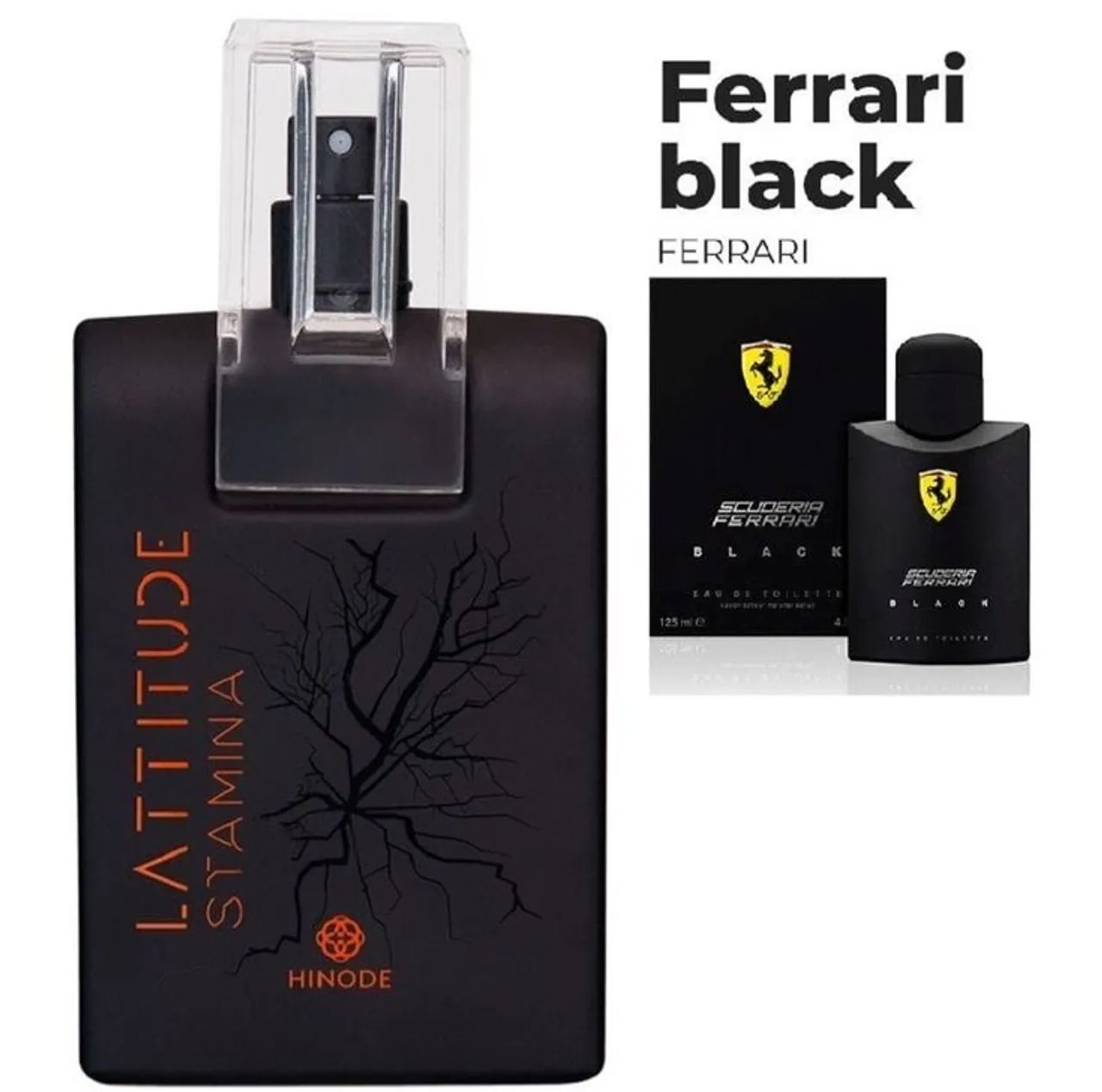 PERFUME LATTITUDE STAMINA 