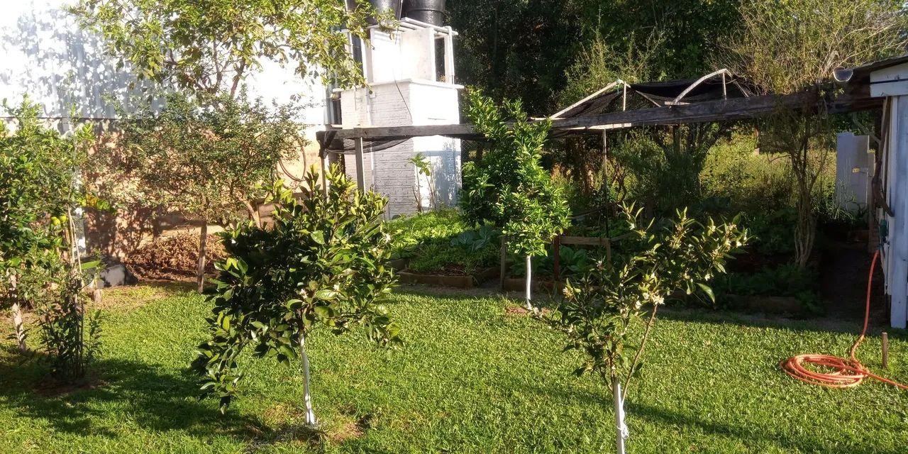 Sítio encantador - Foto 4