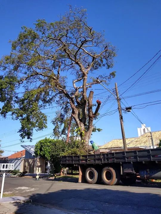 Roçada de terreno, limpeza e descarte  - Foto 5