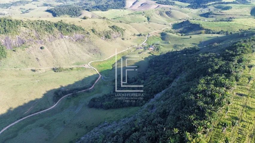 Belíssima fazenda de 153 hectares em São Luís do Quitunde-AL - Fazenda Vale Verde - Foto 7