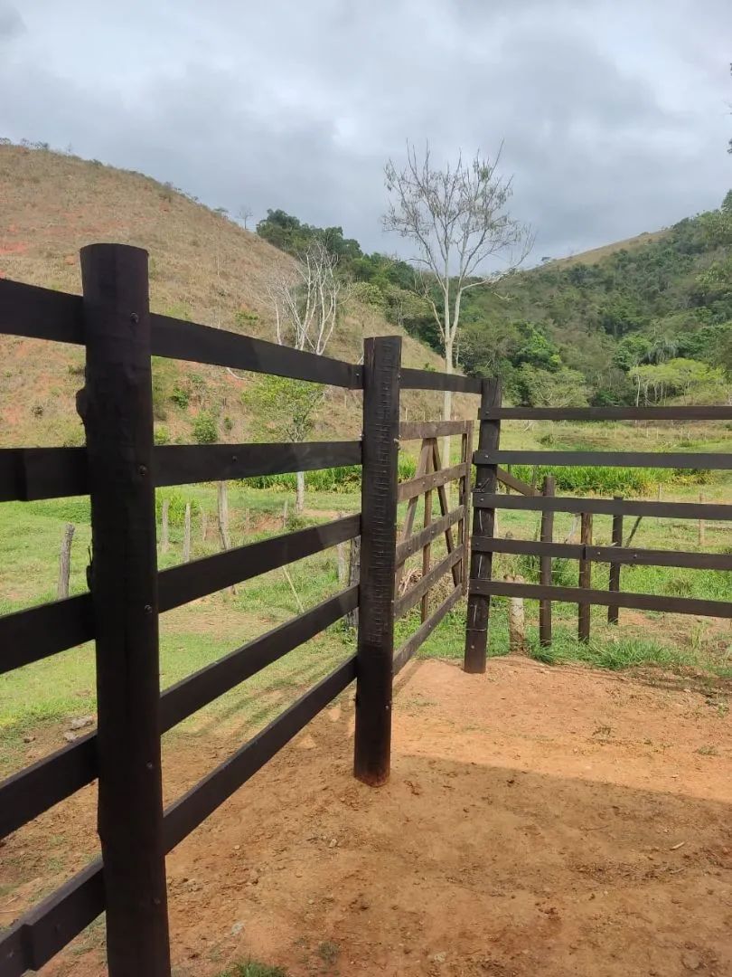 Paraíba do Sul - 11.5 alqueires. Oportunidade única! - Foto 8