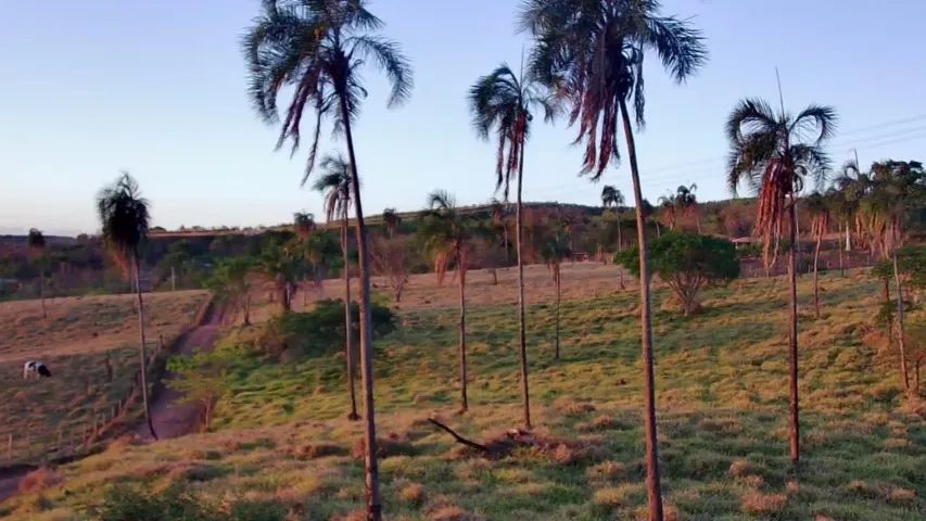 Vende-se Área rural em Bonfinópolis - Foto 2