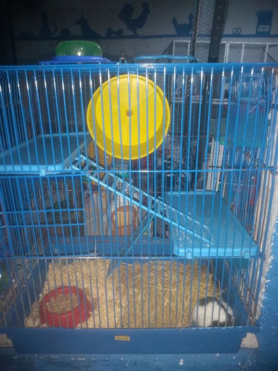 Hamster com gaiola e acessórios - Foto 2