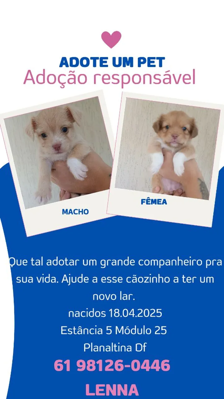 Adoção responsável