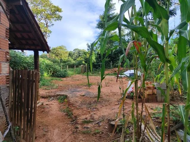 Chácara com pomar em produção - Foto 13