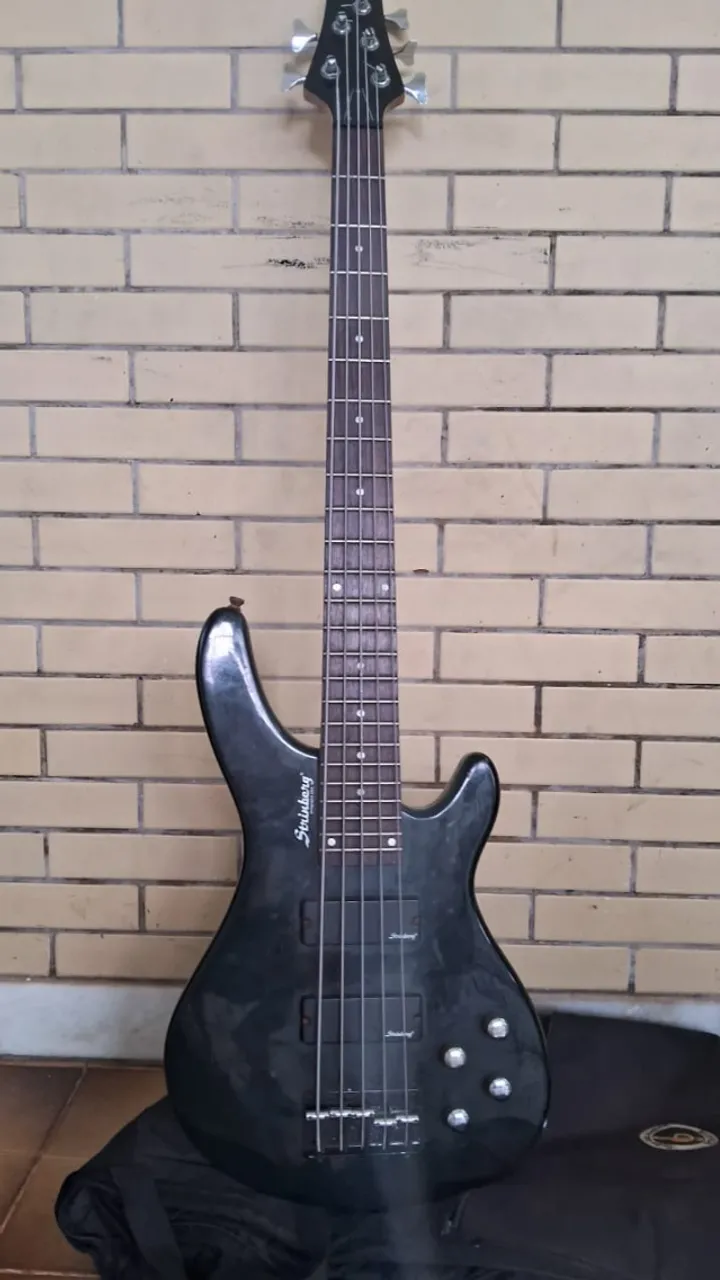 Baixo Strinberg 5 Semi Novo