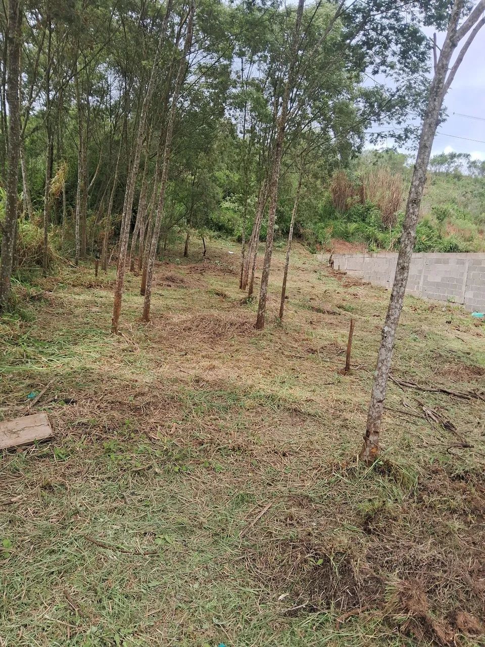 Foto - Campina Grande do Sul - Jardim João Paulo II