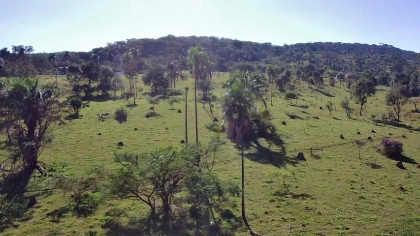 Vende-se Área rural em Bonfinópolis