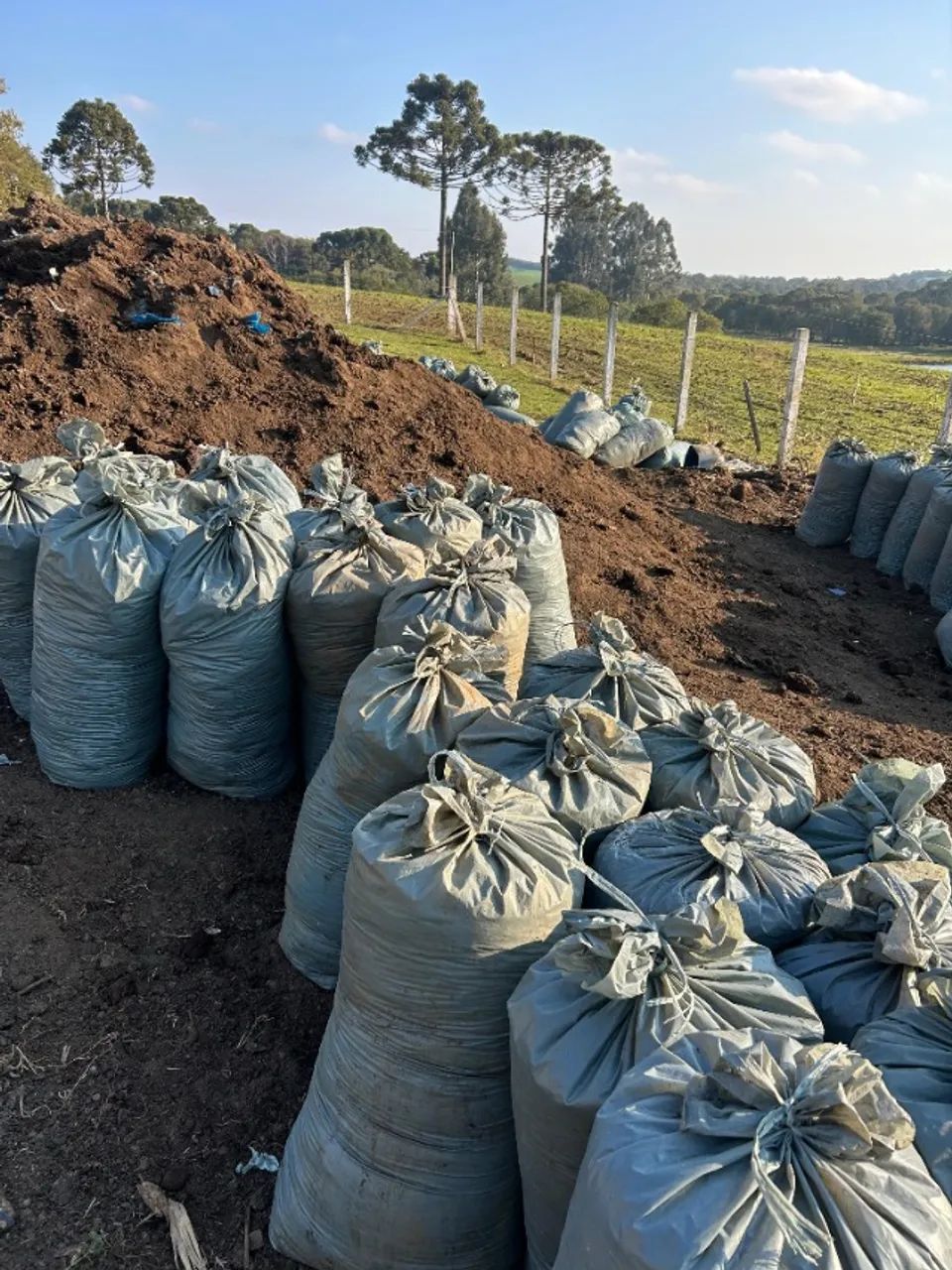 ESTERCO DE CARNEIRO ADUBO ORGÂNICO - Foto 6