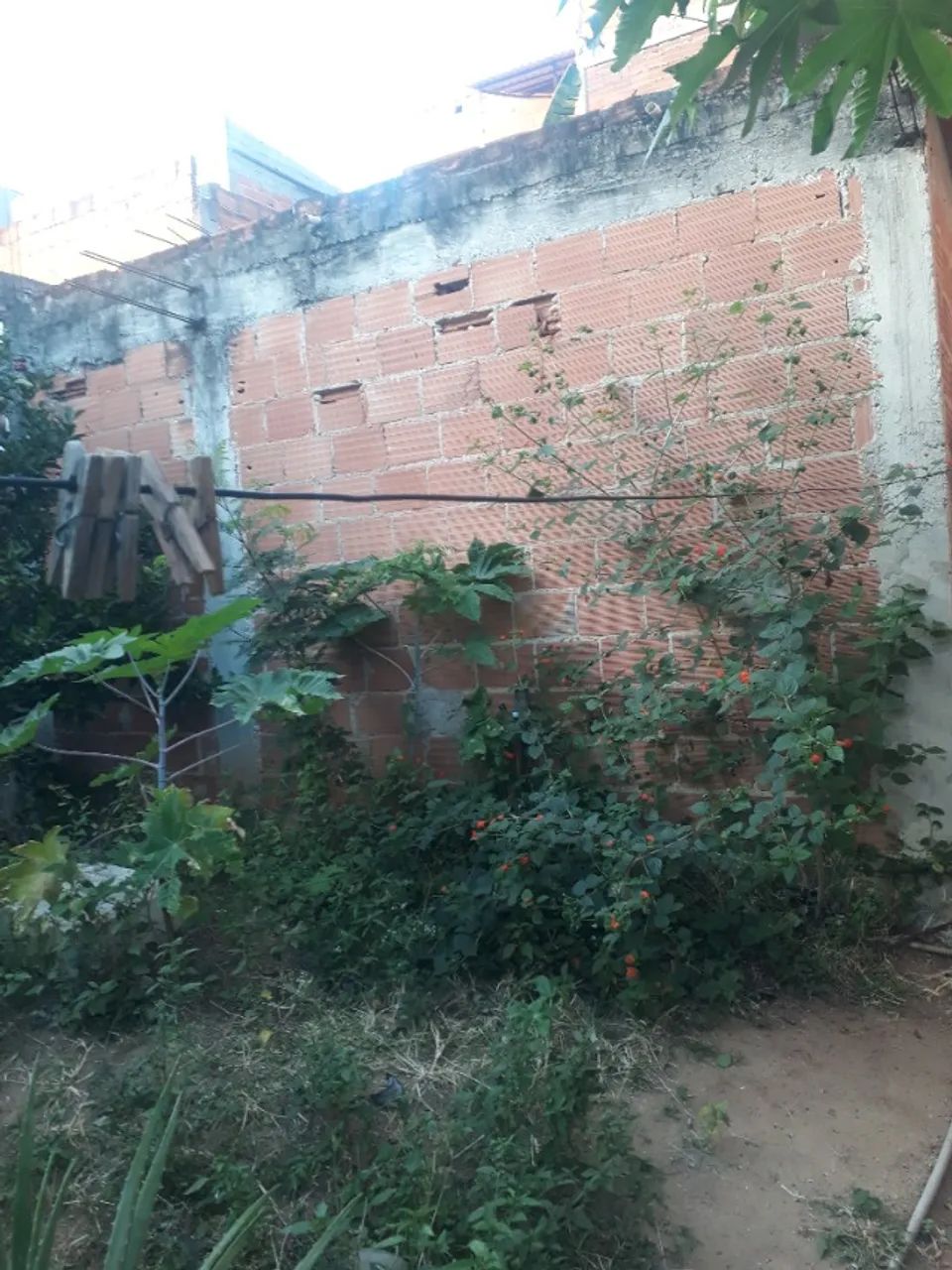 Foto - Rio de Janeiro - Campo Grande