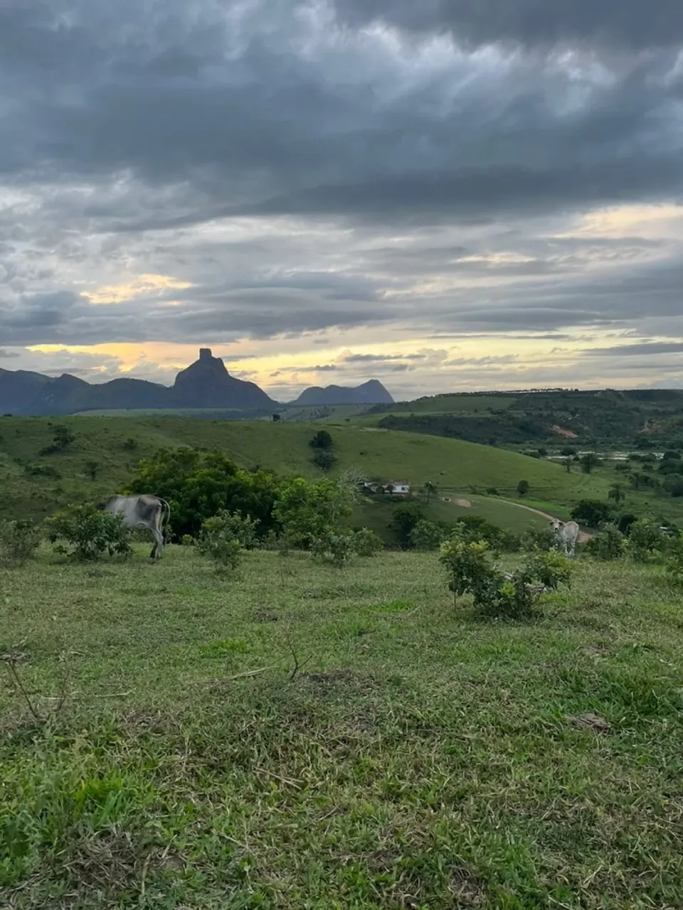 Vendo propriedade a 2 km de Itamaraju