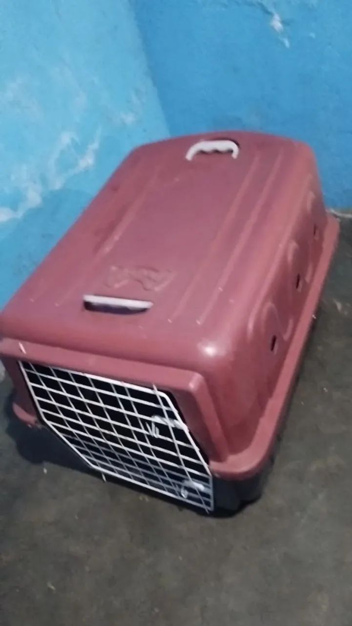 Caixa de Transporte para Pet - Foto 2