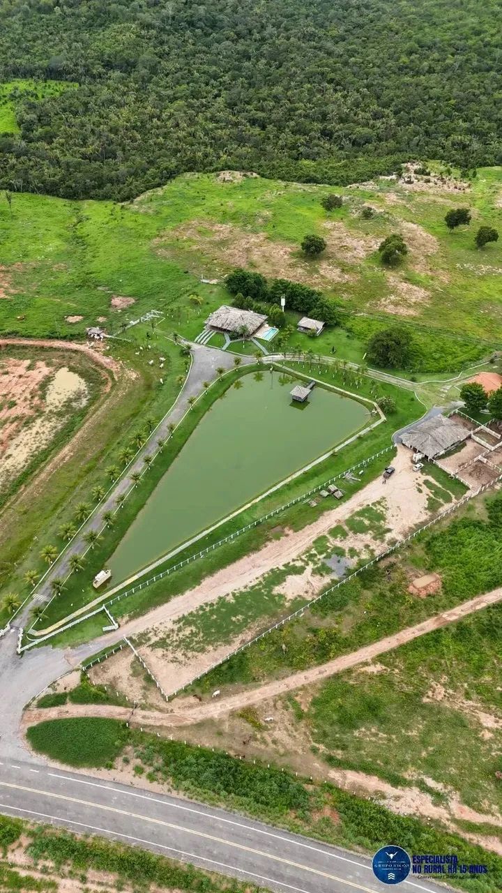 Fazenda à venda em Minaçu Goiás, 660 Alqueires - Foto 3