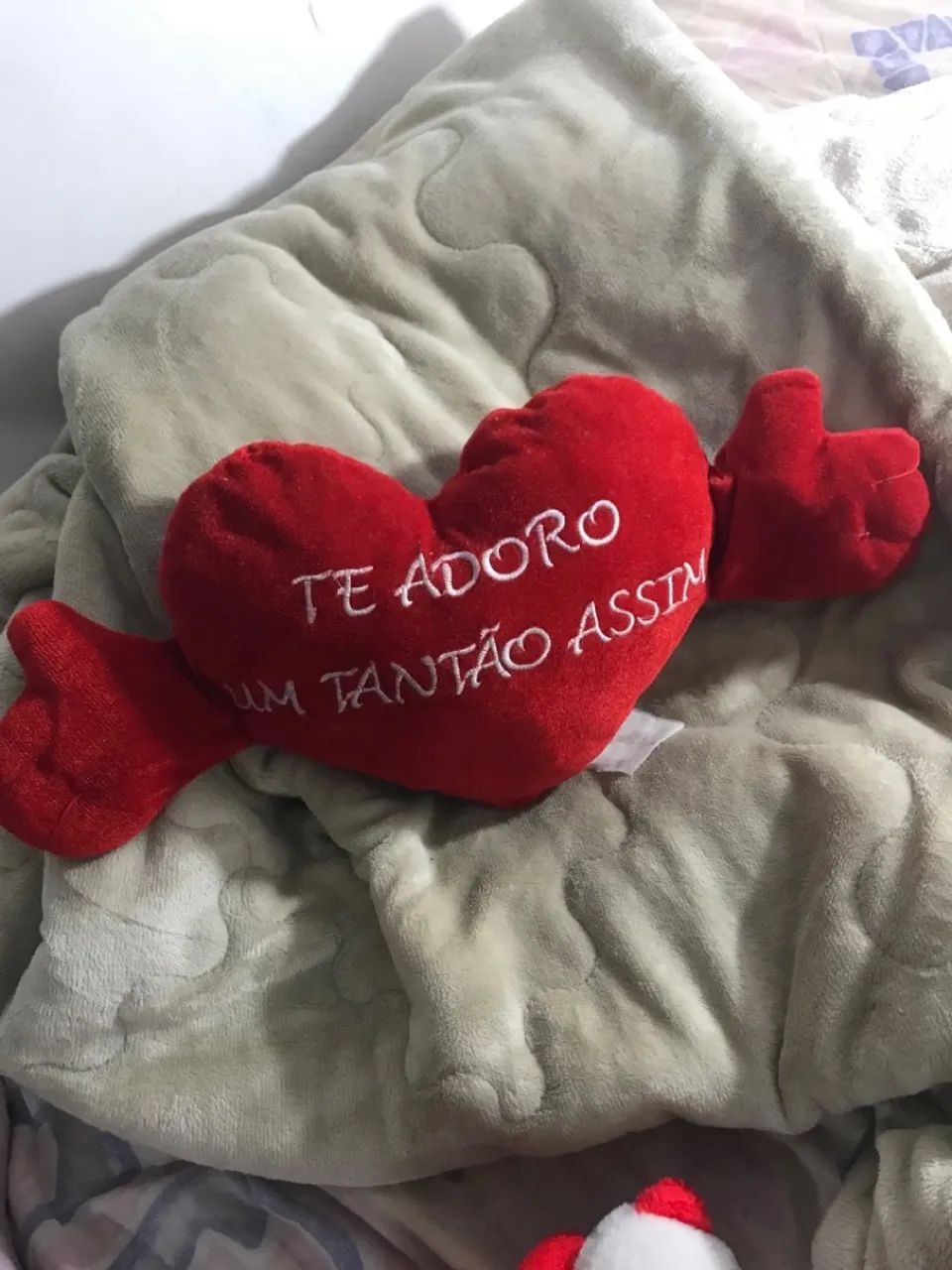 Coração com mãos  - Foto 4