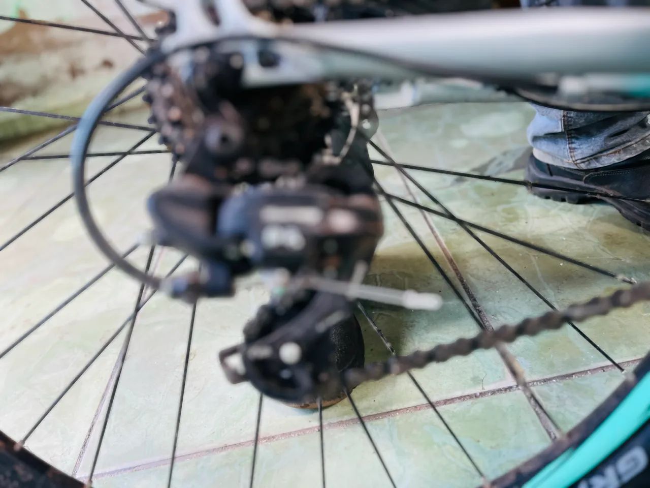 Bicicleta Audax  - Foto 5