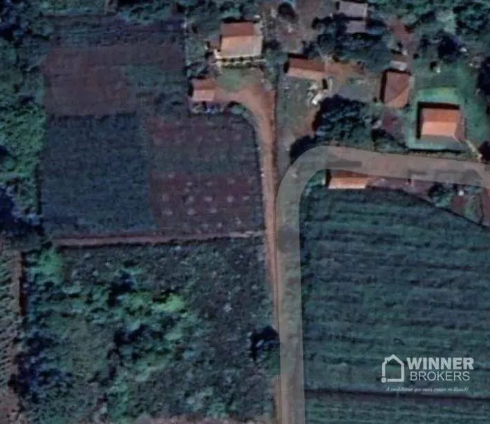 Excelente chácara com 5000 m2 a 2 km da cidade - Mandaguari