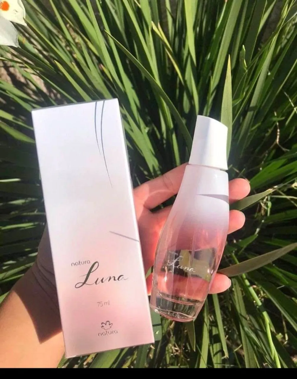 Perfume Natura Luna 75ml