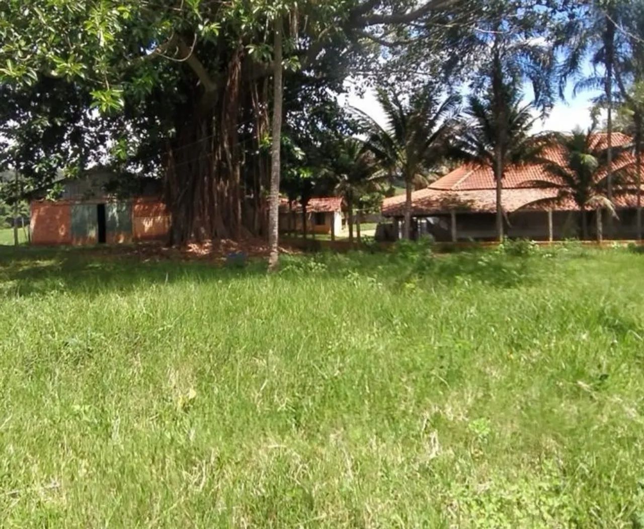 Sítio 7.9 alqueires com rio em trindade Goiás  - Foto 4
