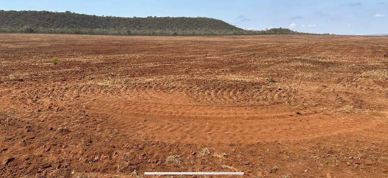 Fazenda arrendamento 3.000 hec em pasto, libera acima de 500hec 1° as no outro mais  - Foto 9