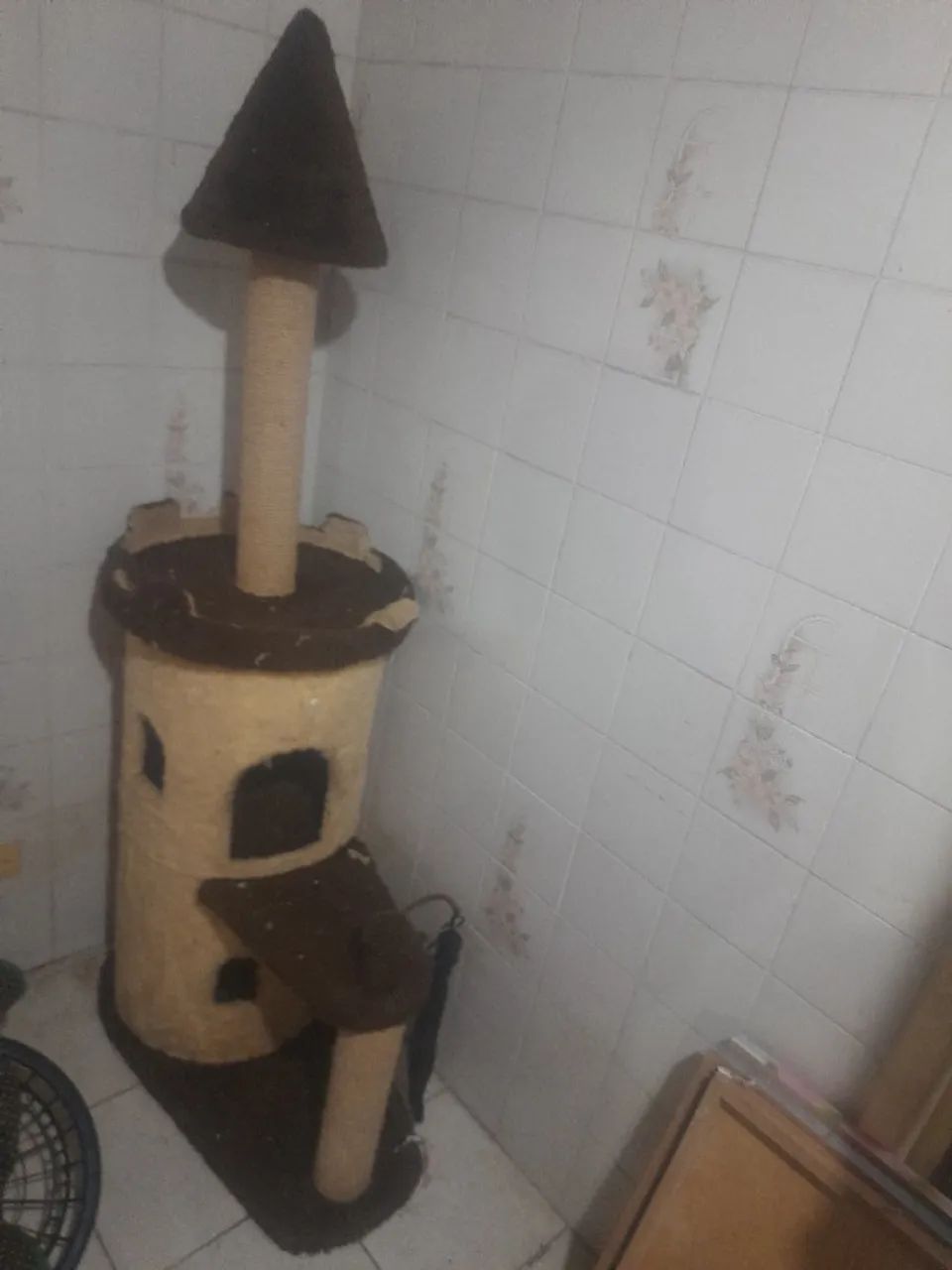 Aranhador 