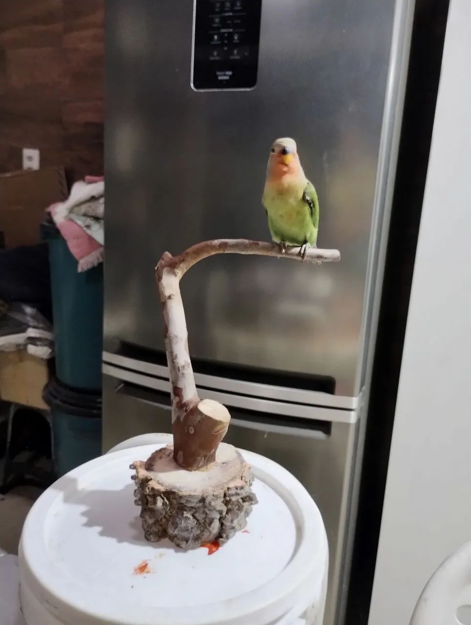 Um lindo presente para quem vc ama - Foto 5