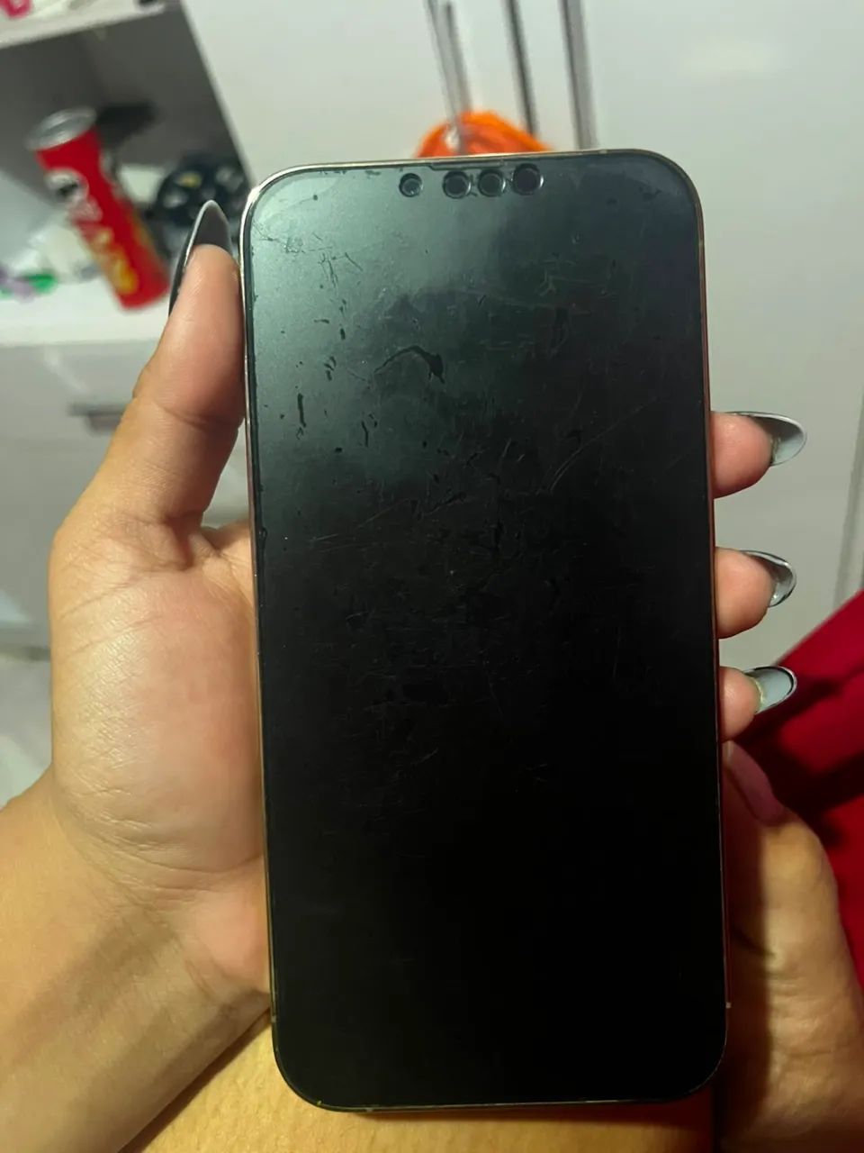 iPhone 13 Pro Max 