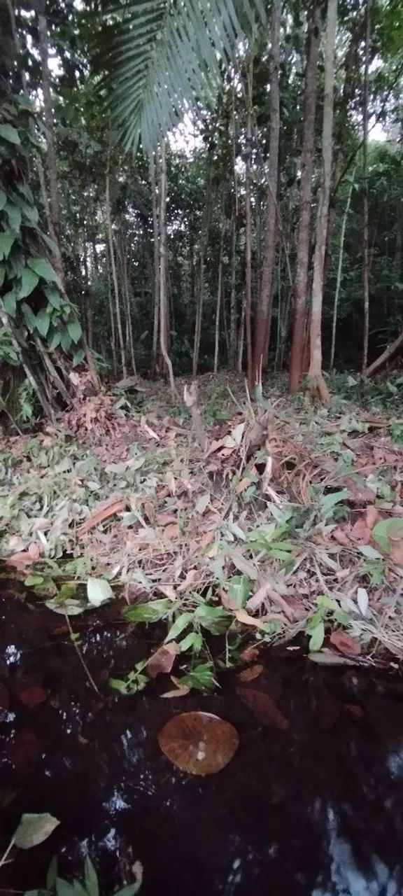 Terreno com igarapé  - Foto 3