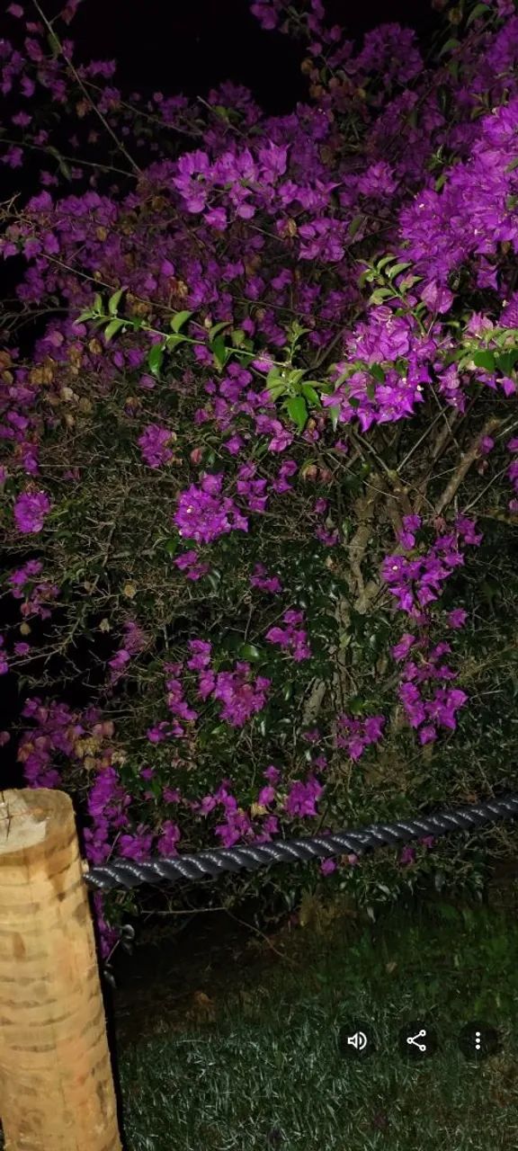 Sítio Zyon ( Paraíso)  - Foto 3