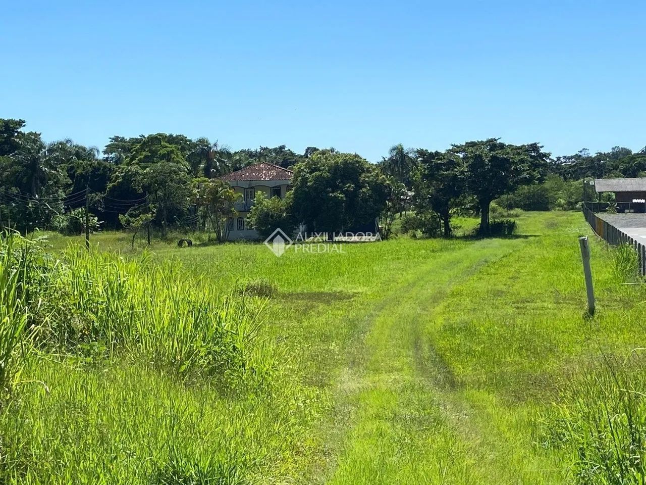 Terreno Morro das Pedras - Foto 4
