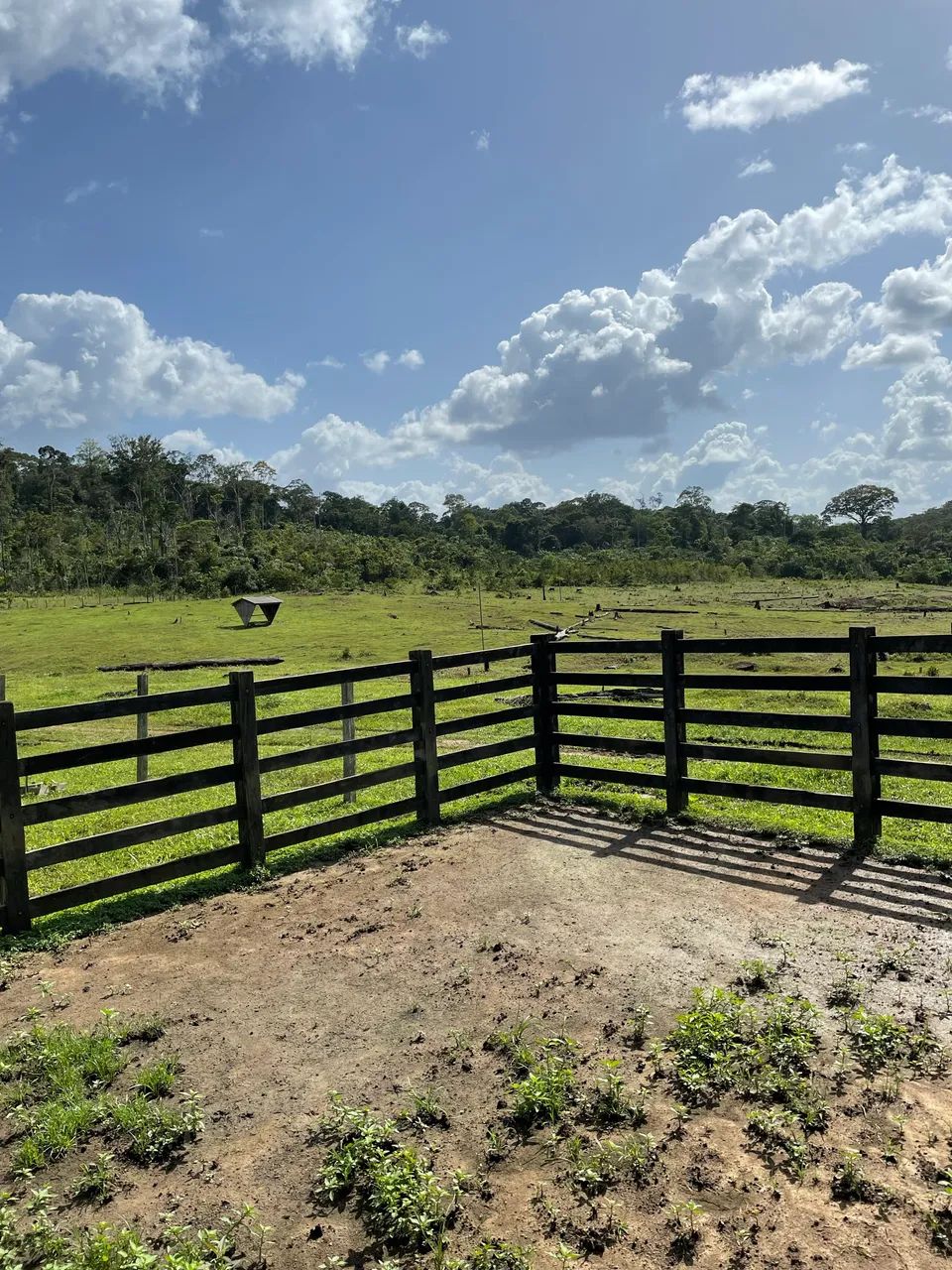FAZENDA - TARTARUGALZINHO - Foto 3