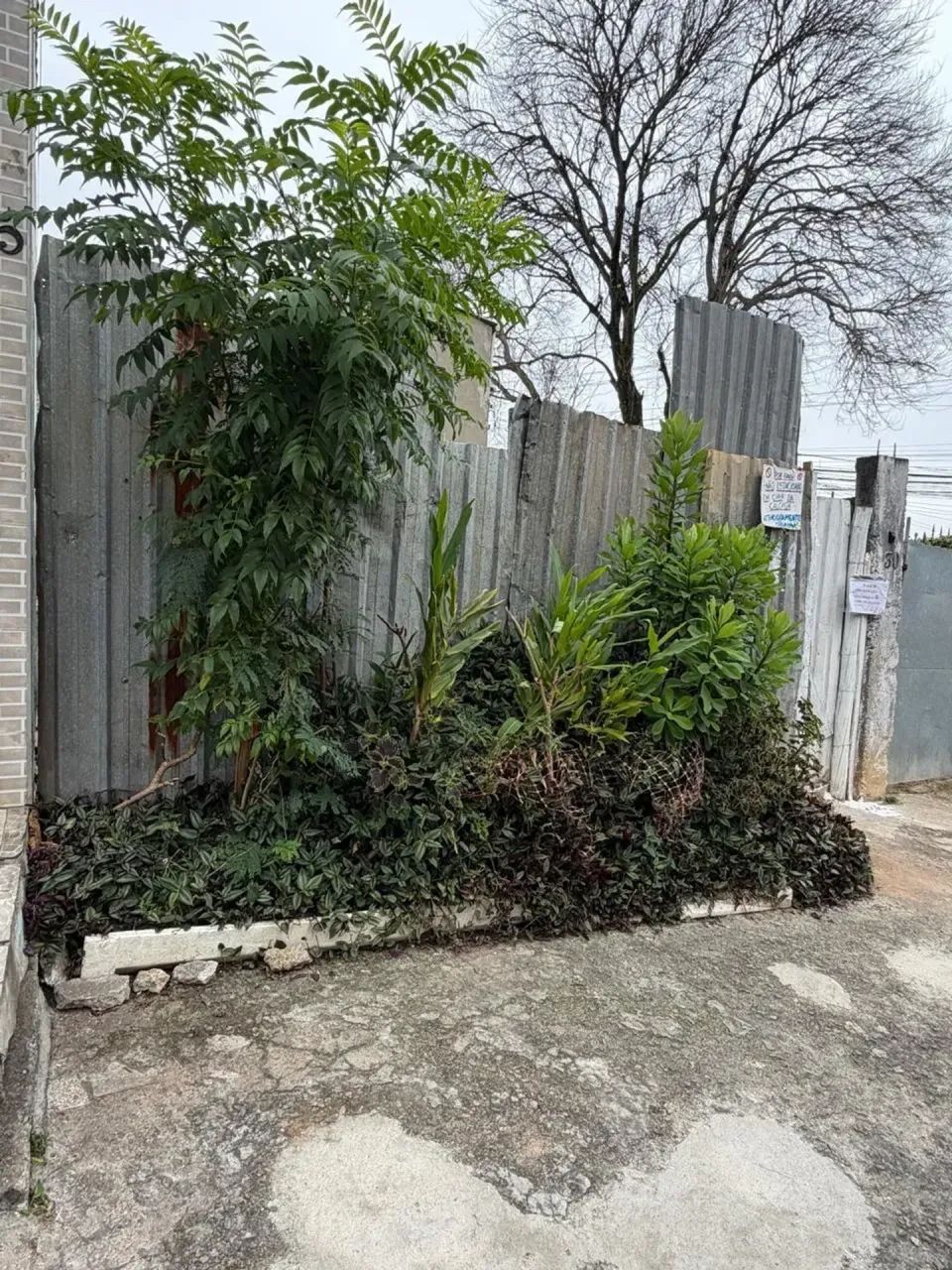 Terreno Plano à venda. - Foto 3