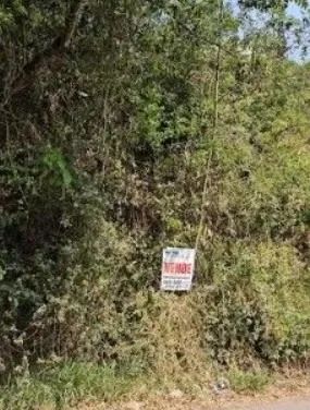 Foto - Santo André - Recreio da Borda do Campo
