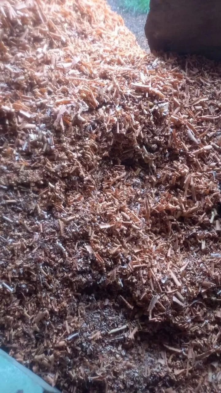 Serragem/maravalha