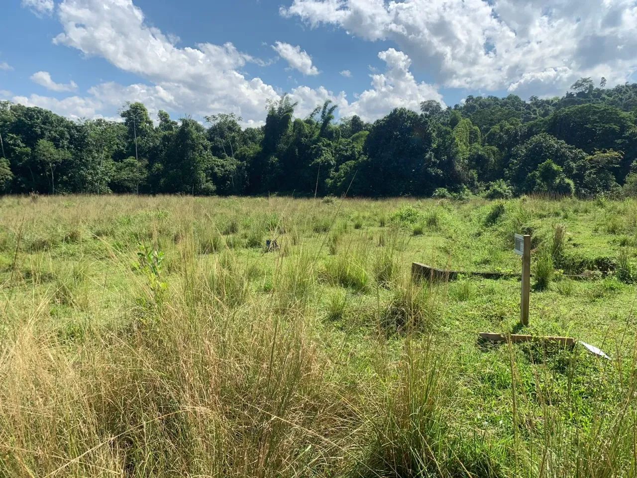 Terreno para venda em Xerém. - Foto 5