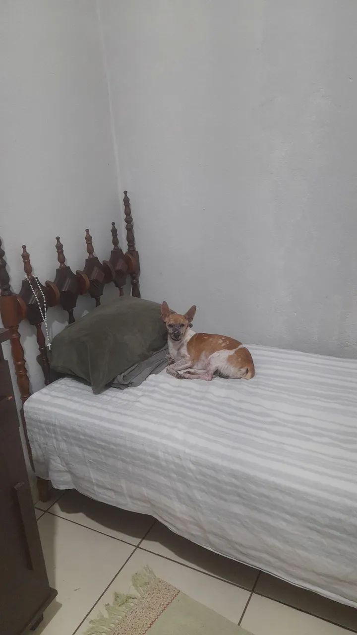 Cama de solteiro em madeira 