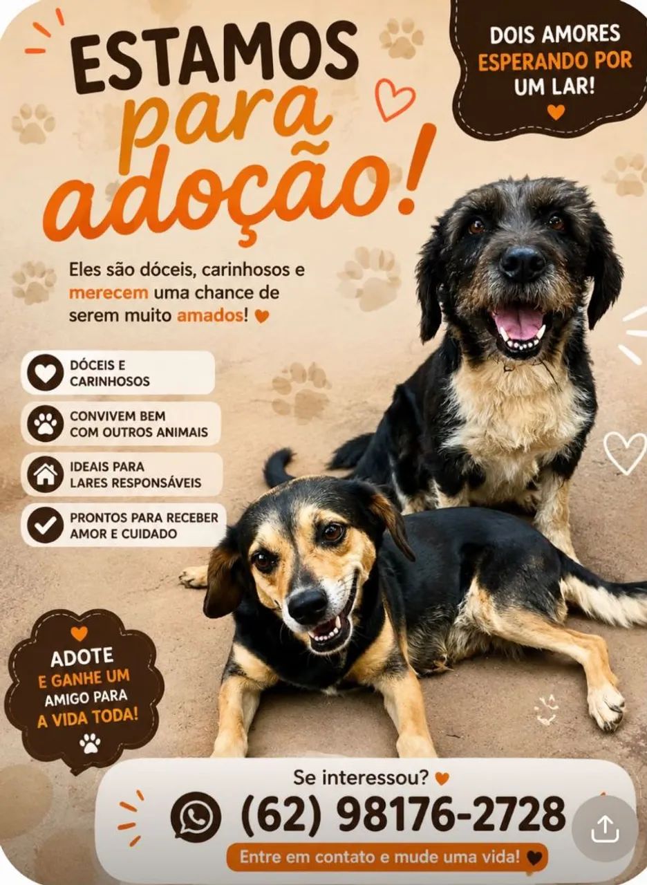 Cachorros pra doação 
