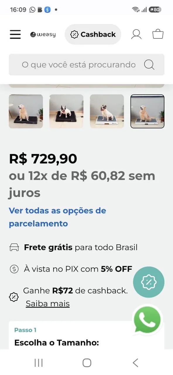 Sanitário Pet drenagem direta para ralo, lavável  - Foto 5