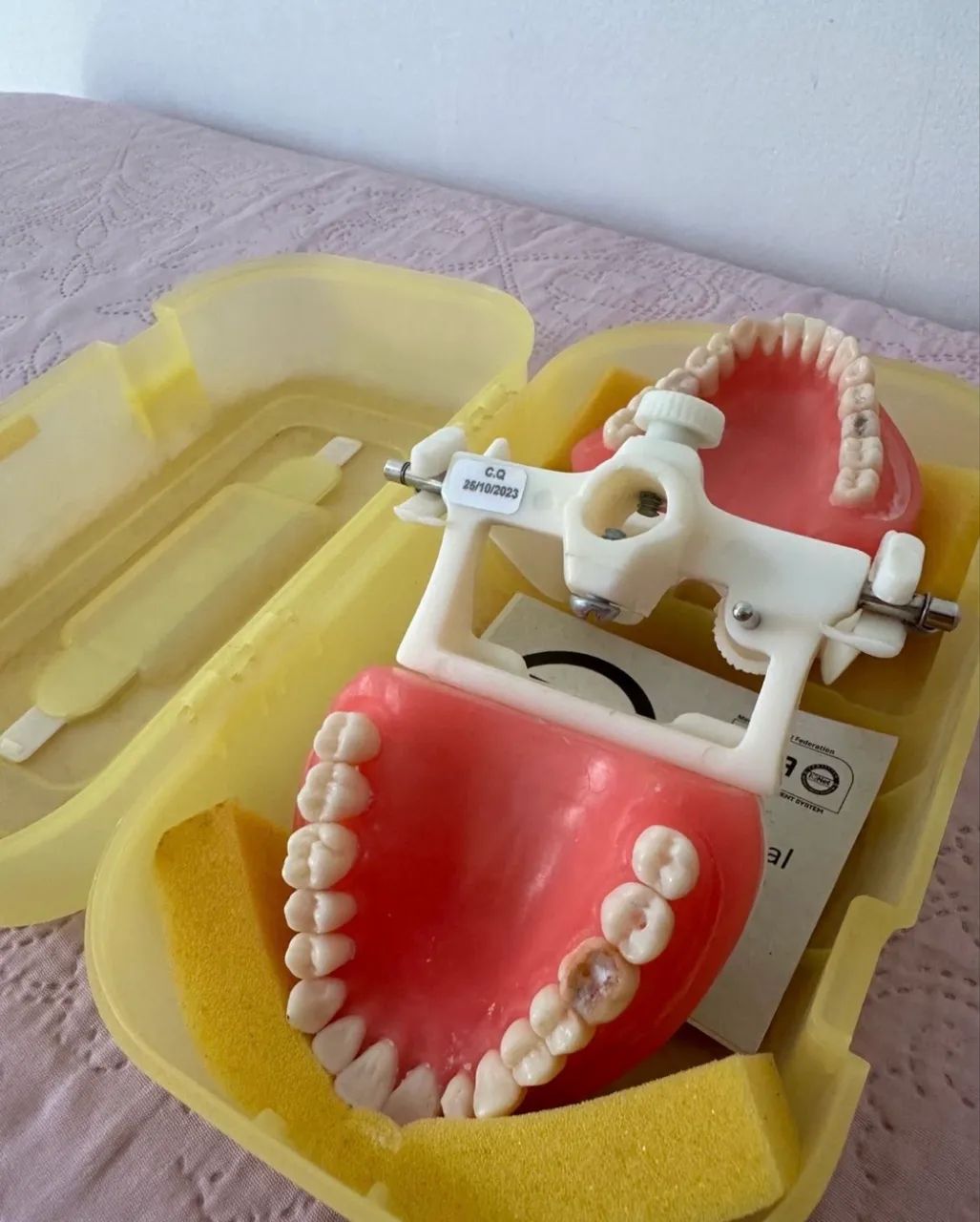 Manequim Pronew Dentistíca  - Foto 4