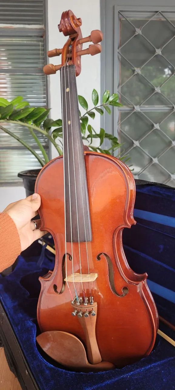 Violino Eagle 4/4